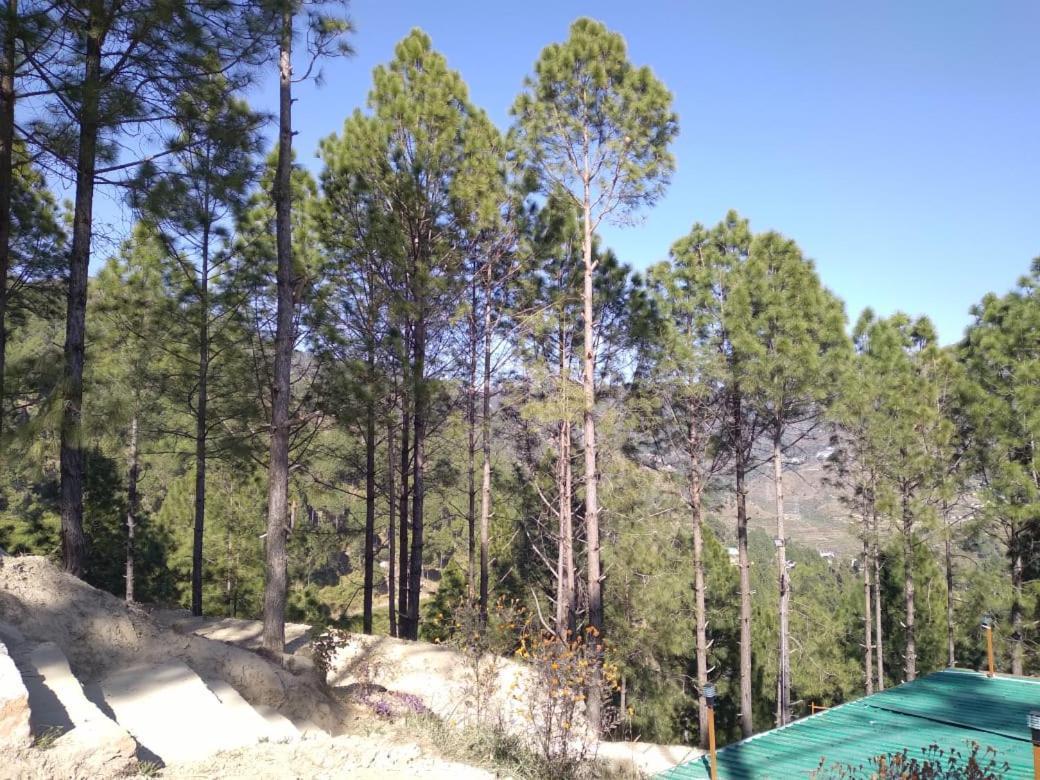 Nature Villaas Basa Homestay Pauri Ngoại thất bức ảnh
