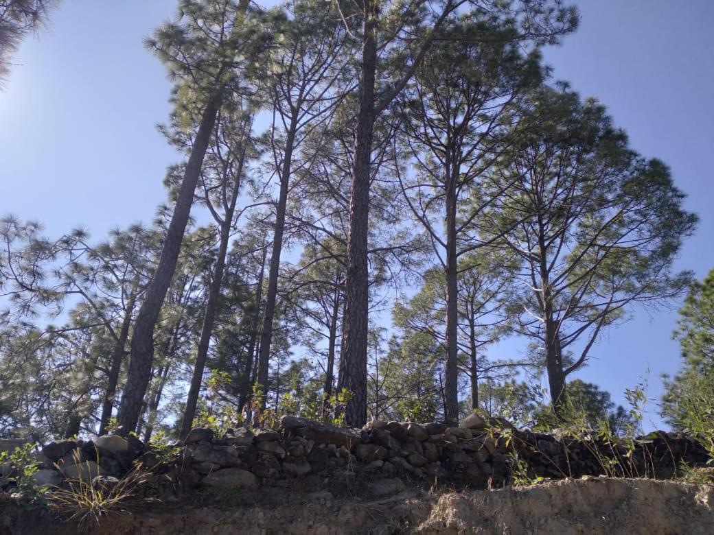 Nature Villaas Basa Homestay Pauri Ngoại thất bức ảnh