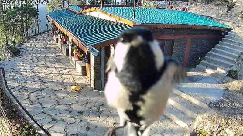 Nature Villaas Basa Homestay Pauri Ngoại thất bức ảnh